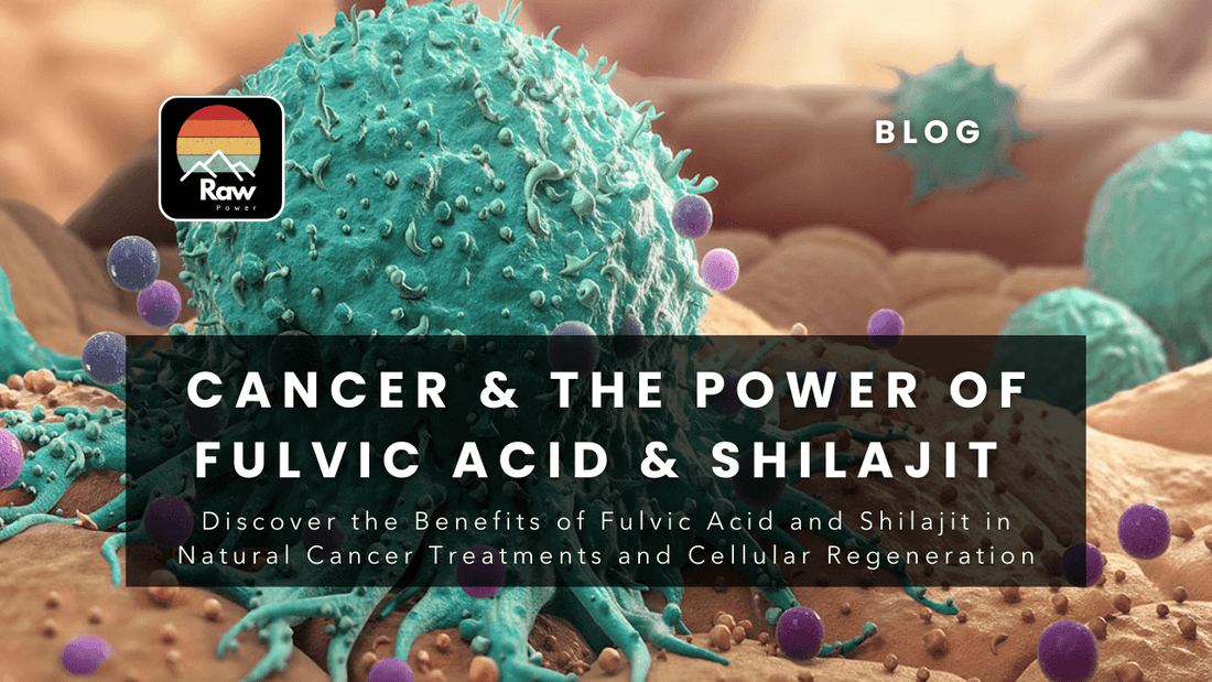 Cancer and the Power of Fulvic Acid Shilajit - Raw Power