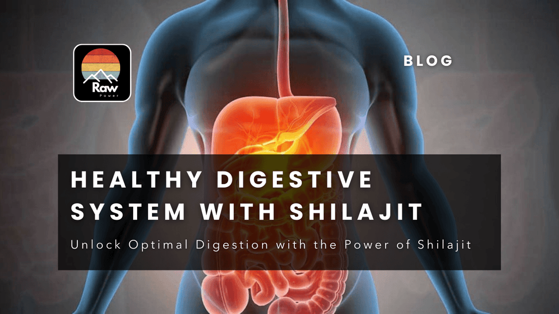 Healthy Digestive System with Shilajit - Raw Power